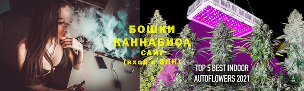 ПСИЛОЦИБИНОВЫЕ ГРИБЫ Навашино