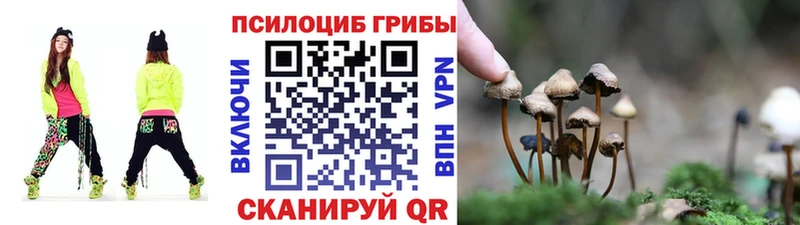 mega ссылка  Лакинск  Псилоцибиновые грибы мухоморы  купить наркоту 